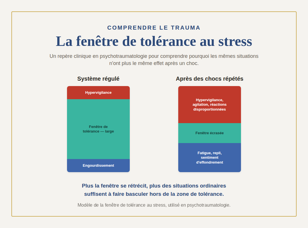Schéma de la fenêtre de tolérance au stress, large chez un système régulé, écrasée après des chocs répétés